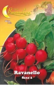 Semillas De Rábano Saxa