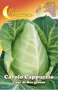 Semillas De Repollo Cappuccio Corazón De Buey Grande
