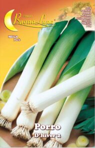 Semillas De Puerro De Invierno Gigante 2