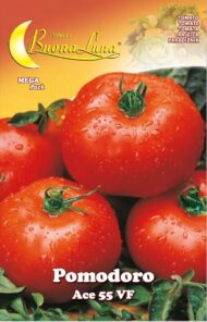 Semillas De Tomate Ace 55 Vf