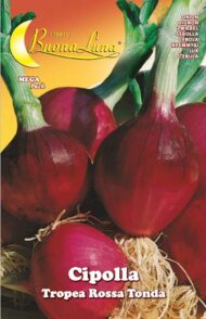 Semillas De Cebolla Tropea Roja Redonda