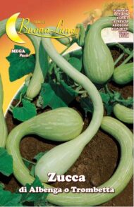 Semillas De Zapallo Albenga Escalada O Trompeta