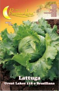 Semillas De Lechuga Great Lakes 118