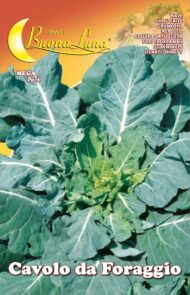 Semillas De Col Forrajera