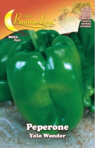 Semillas De Pimentón Yolo Wonder