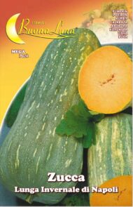 Semillas De Zapallo Largo De Nápoles