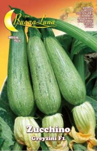 Semillas De Zapallo Greyzini F1
