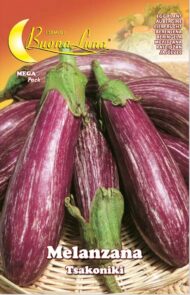 Semillas De Berenjena Tsakoniki
