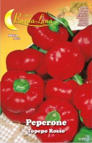 Semillas De Pimentón Topepo Rojo