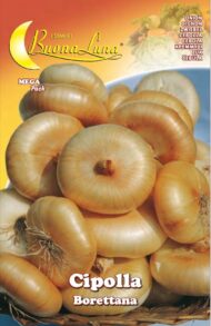 Semillas De Cebolla Borettana