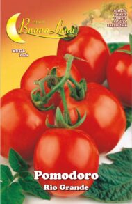 Semillas De Tomate Río Grande