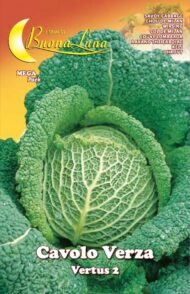 Semillas De Col Verza Di Vertus 2