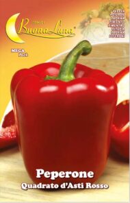 Semillas De Pimentón Cuadrado De Asti Rojo