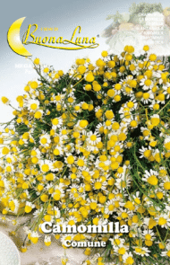 Semillas De Manzanilla