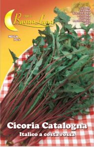 Semillas De Achicoria Itálico A Costa Rossa