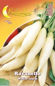 Semillas De Rábano Vela De Hielo