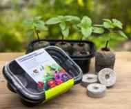 Mini invernadero con Discos Jiffy Peat Pellet 12