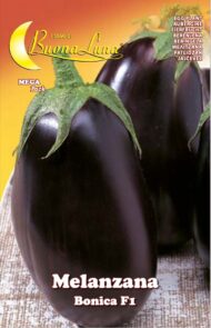 Semillas De Berenjena Redonda Bonica F1