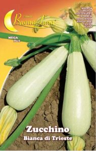 Semillas De Zapallo Blanco De Trieste