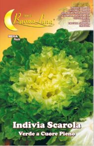 Semillas De Escarola Endivia Verde Corazón Lleno