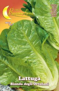 Semillas De Lechuga Rubia De Los Agricultores