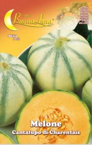 Semillas De Melón Cantalupo De Charentais