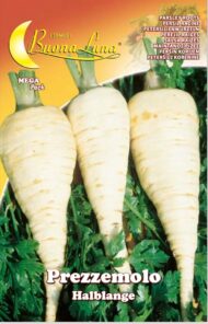 Semillas De Perejil De Raíces Halblange