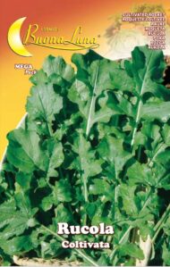 Semillas De Rúcula Cultivada