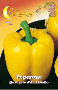 Semillas De Pimentón Cuadrado De Asti Amarillo