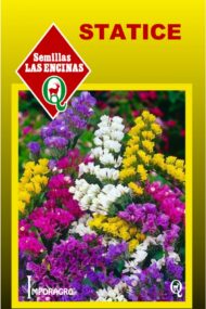 Semillas de Statice