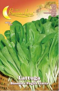 Semillas De Lechuga Rubia Hoja Lisa