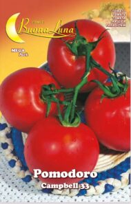 Semillas De Tomate Campbell 33