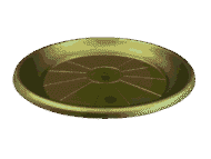 Plato Para Macetero Redondo P19 de Color Dorado - Imagen 6