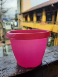 Macetero Grande de M50 Color Rosado - Imagen 4