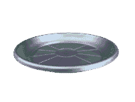 Plato Para Macetero Redondo P28 de Color Verde Plateado - Imagen 2