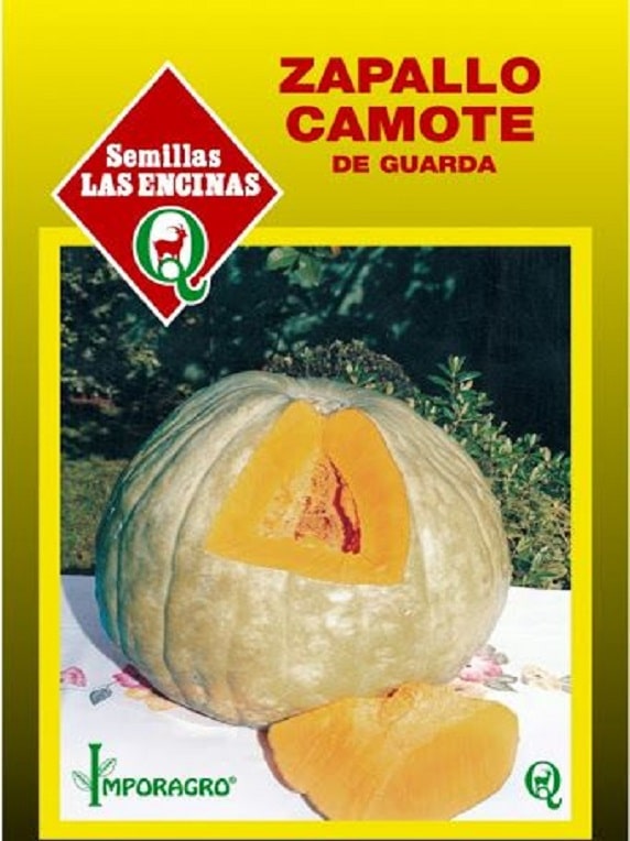 Semillas de Zapallo Camote de Guarda