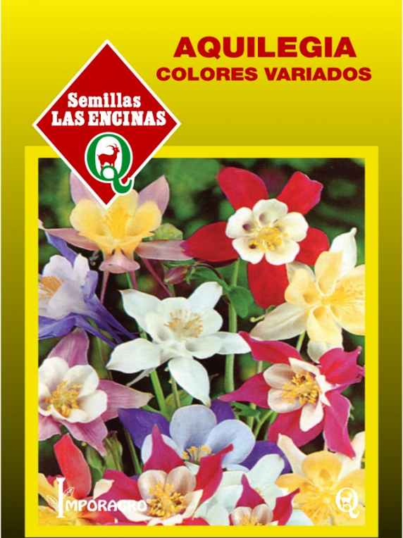 Semillas de Aquilegia