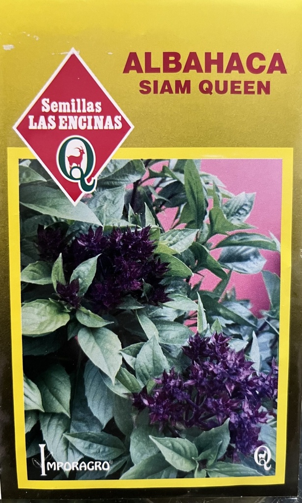 Semillas de Albahaca Siam Queen