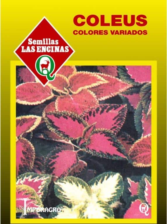 Semillas De Coleus