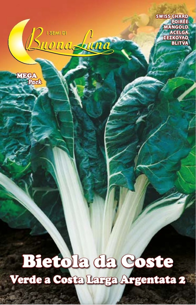 Semillas De Acelga Verde Costa Larga Plata 2