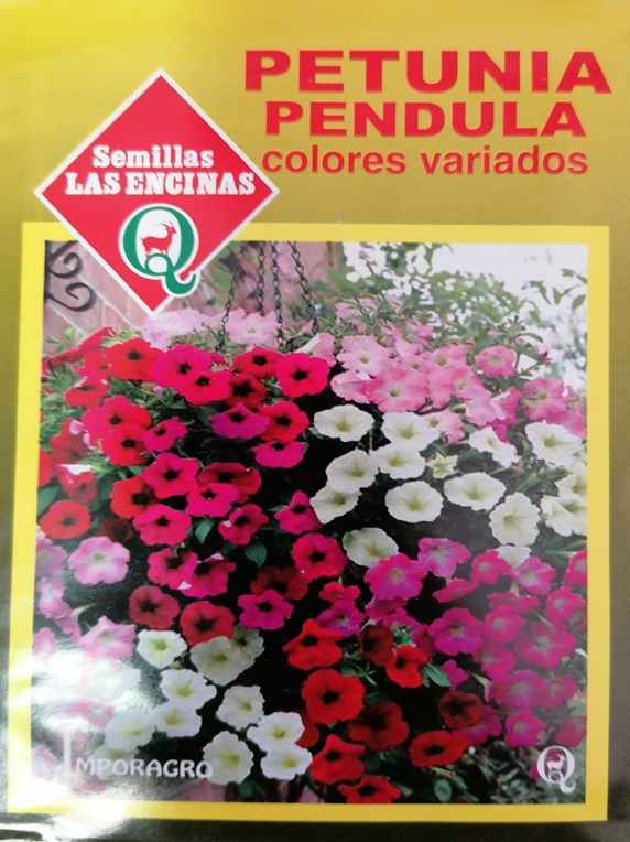 Semillas de Petunia Pendula Colores Variados