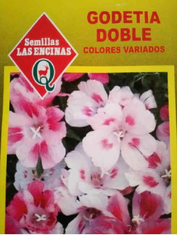 Semillas de Godetia