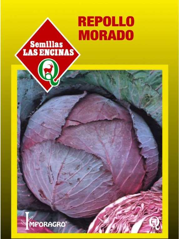 Semillas de Repollo Morado
