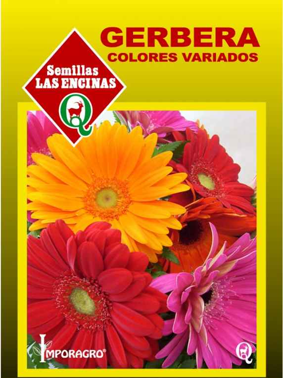 Semillas de Gerbera