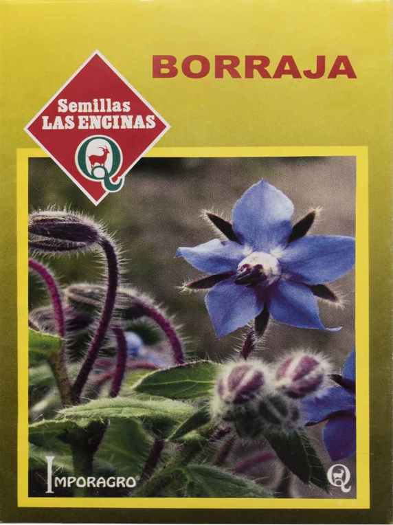 Semillas de Borraja