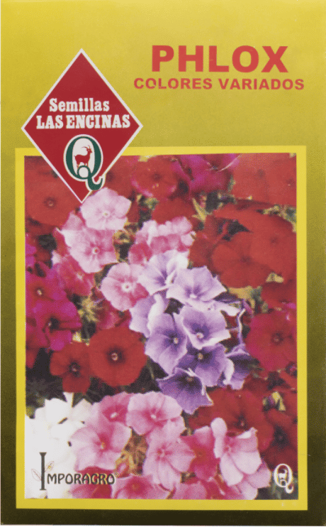 Semillas de Phlox
