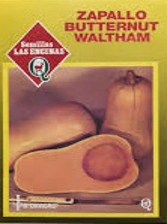 Semillas de Zapallo Butternut