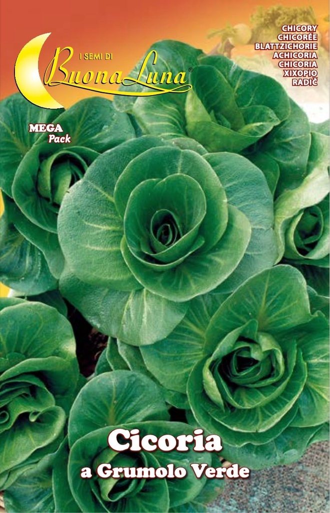 Semillas De Achicoria Grumolo Verde