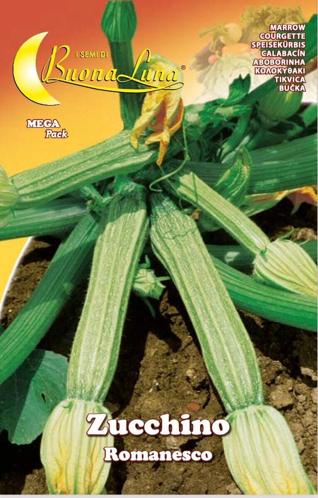 Semillas De Zapallo Romanesco