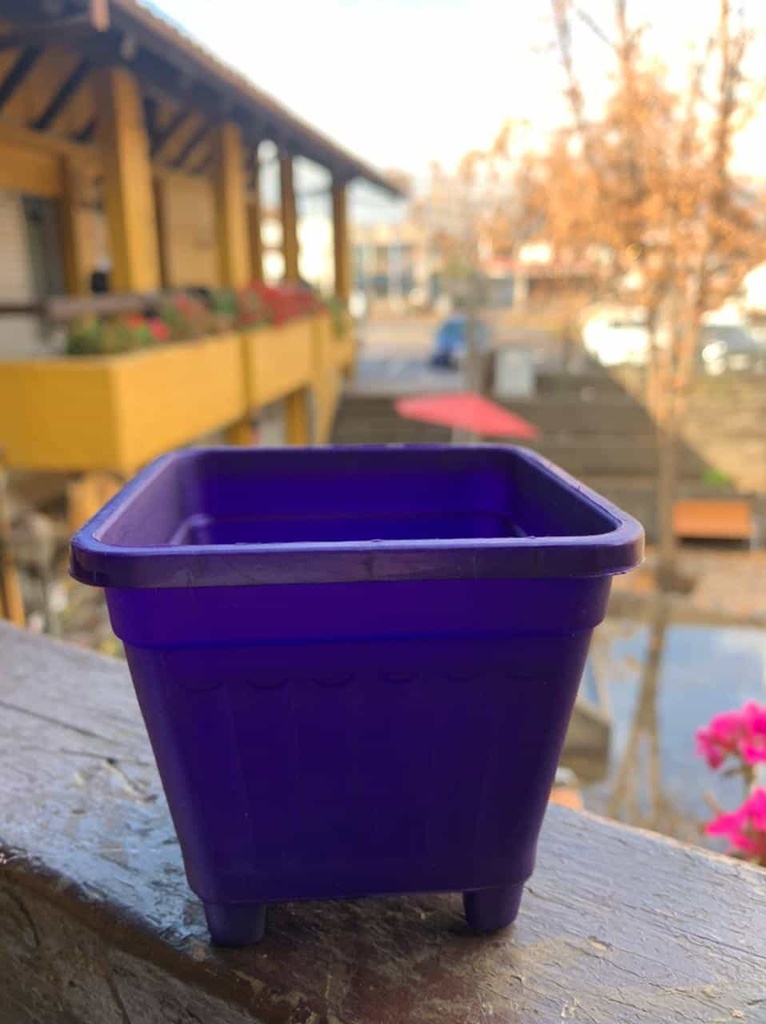 Macetero Cuadrado Morado 10 Cm